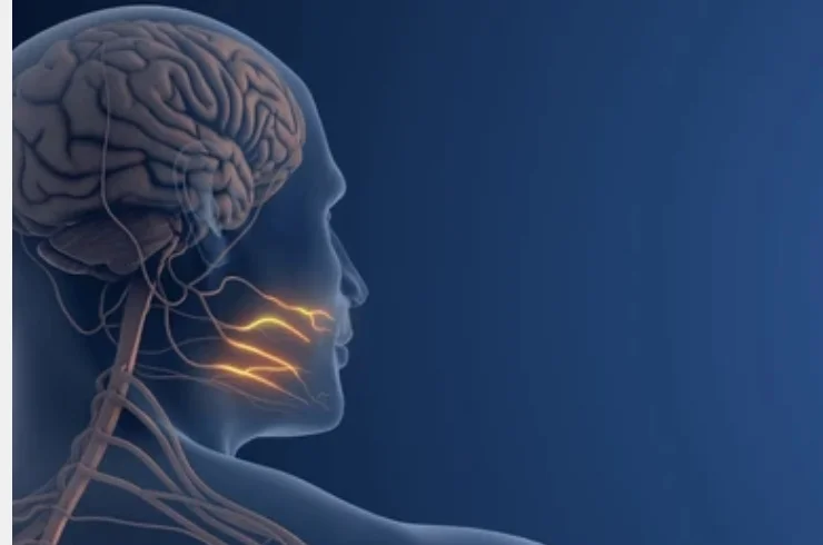 Trigeminal Neuralgia